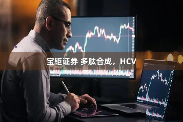 宝钜证券 多肽合成，HCV